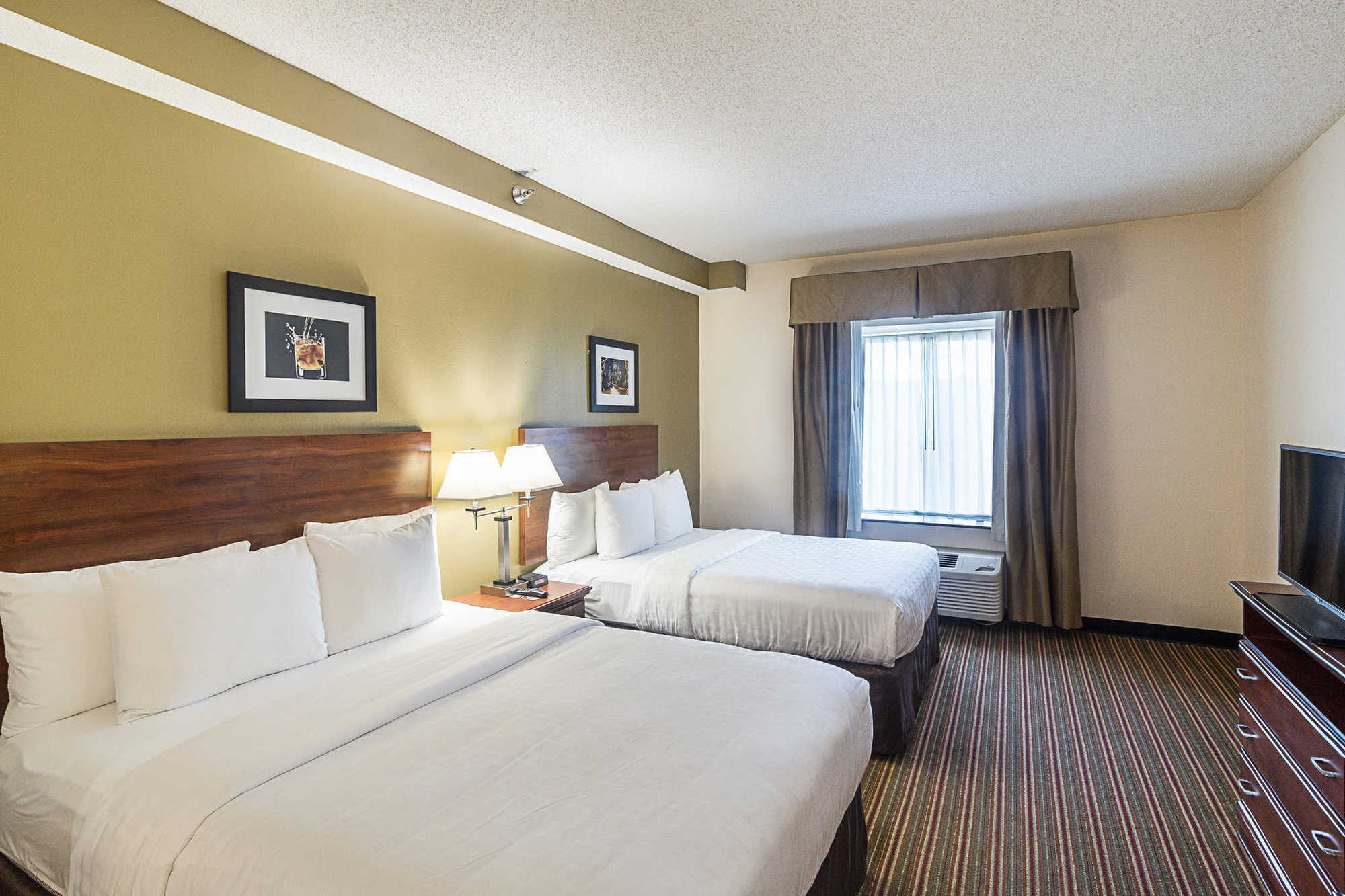 Quality Inn & Suites West Chase Houston Rum bild